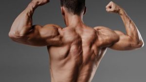 Steroids stay in the body for different periods of time