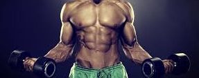 Defining What Anabolic Steroids Really Are