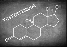 Testosterone is the key ingredient for male sex characteristics