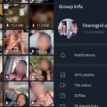 Telegram porn 50 must follow groups and channels in 2024 