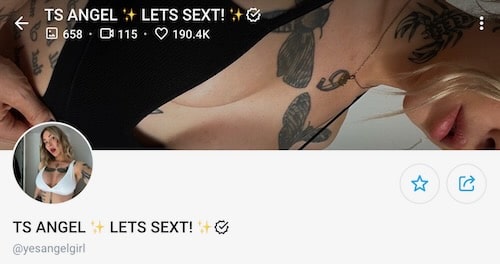 ts angel fans sexy pictures