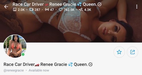 renee gracie race car driver